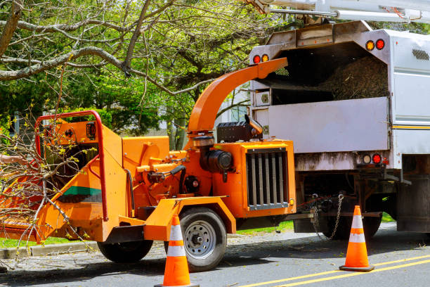 Tree Service Company in Fairfield Bay, AR